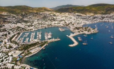 aerial photography of a marina